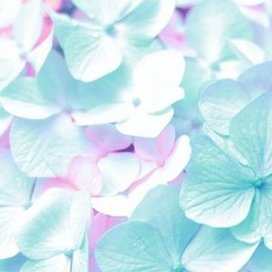 Meet your Posher, Ella